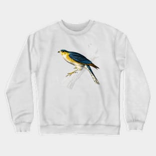 Vintage eurasian sparrowhawk bird-animalia clothing Crewneck Sweatshirt